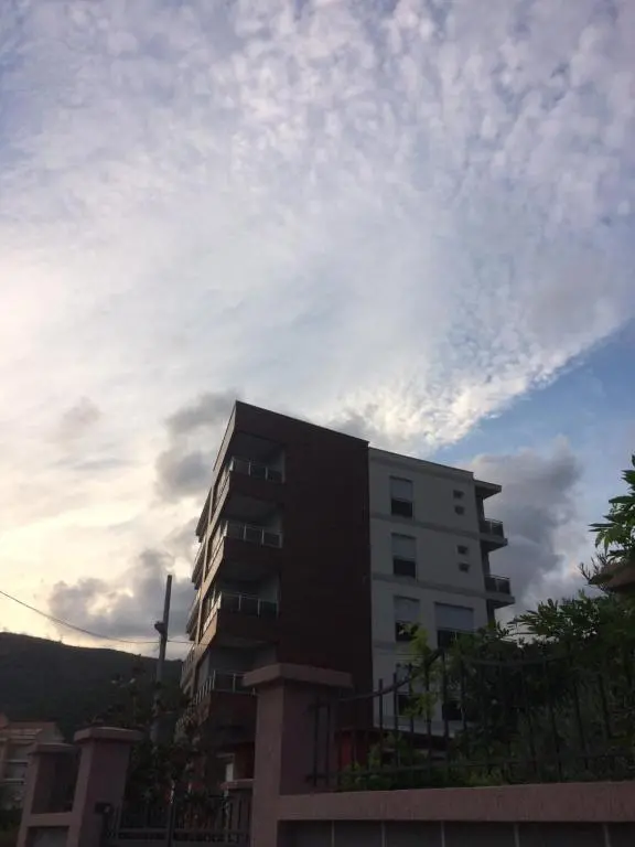 img_id_2281764.webp