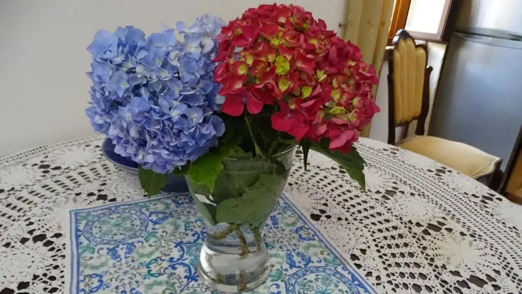 img_id_2281579.webp