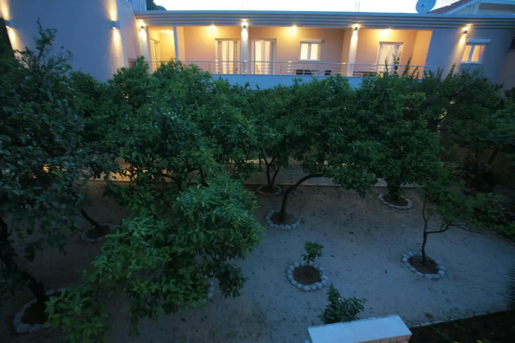 img_id_2407008.webp