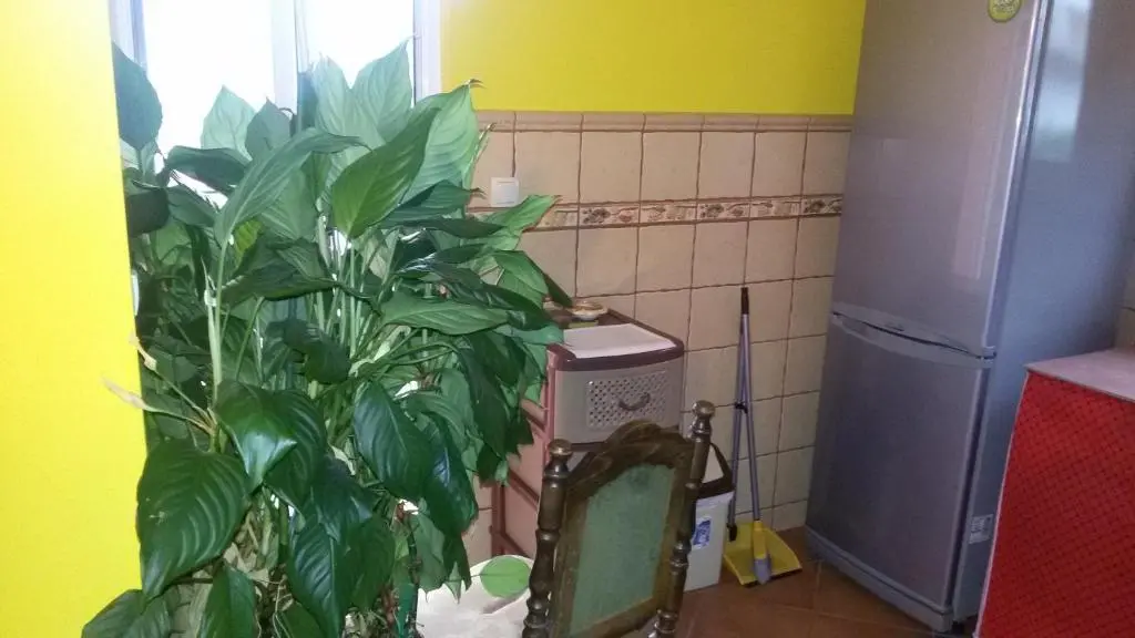 img_id_2280520.webp