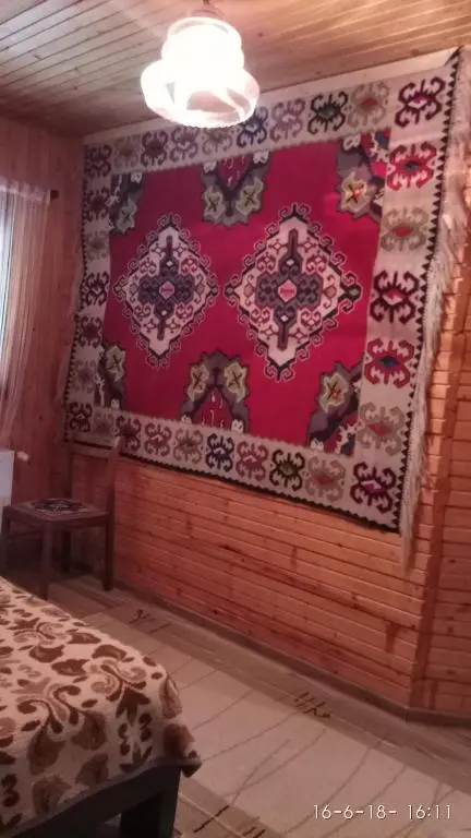 img_id_2280318.webp