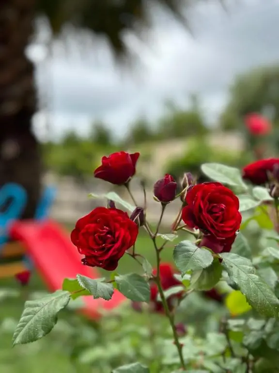 img_id_2279554.webp