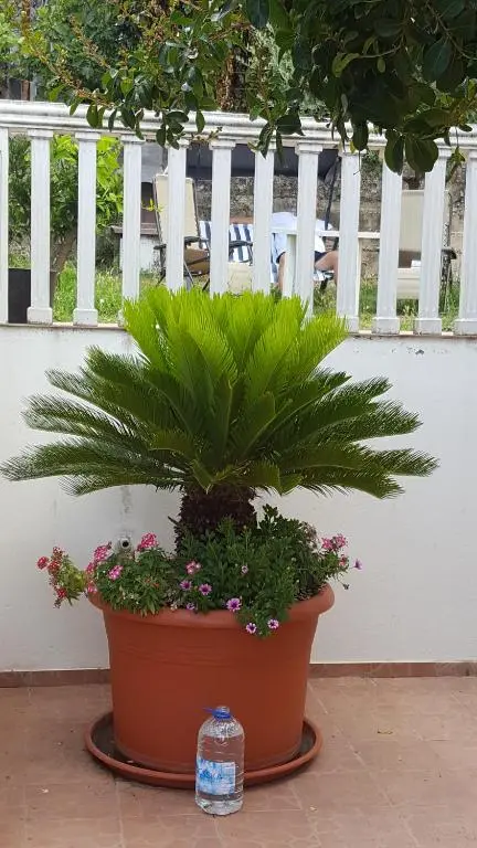 img_id_2279421.webp