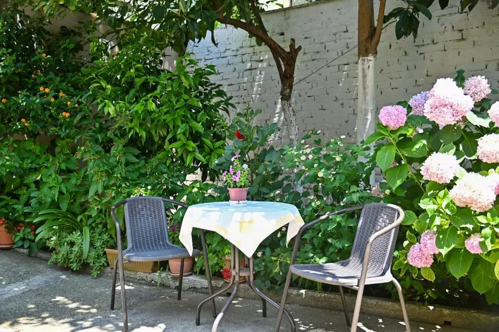 img_id_1021279.webp