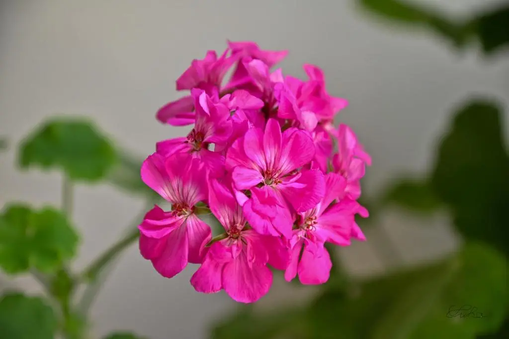 img_id_1021403.webp