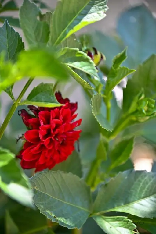 img_id_1021413.webp