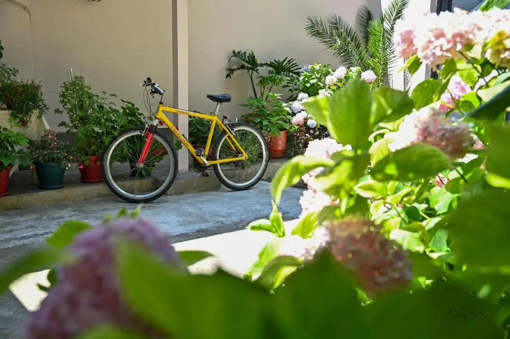 img_id_1021421.webp