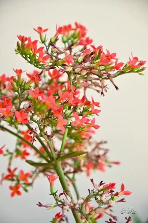 img_id_1021423.webp