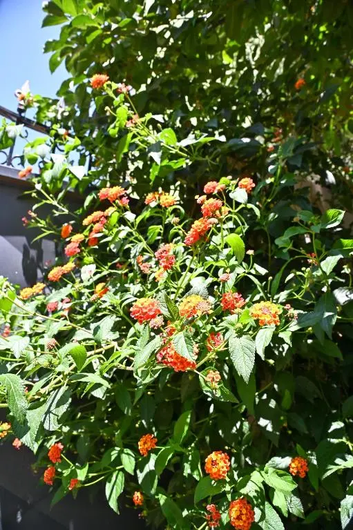 img_id_1021424.webp