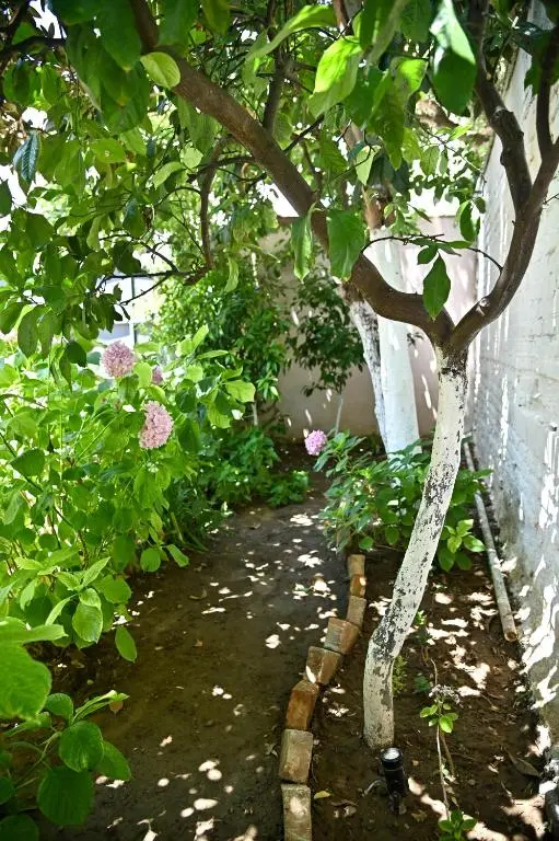 img_id_1021425.webp
