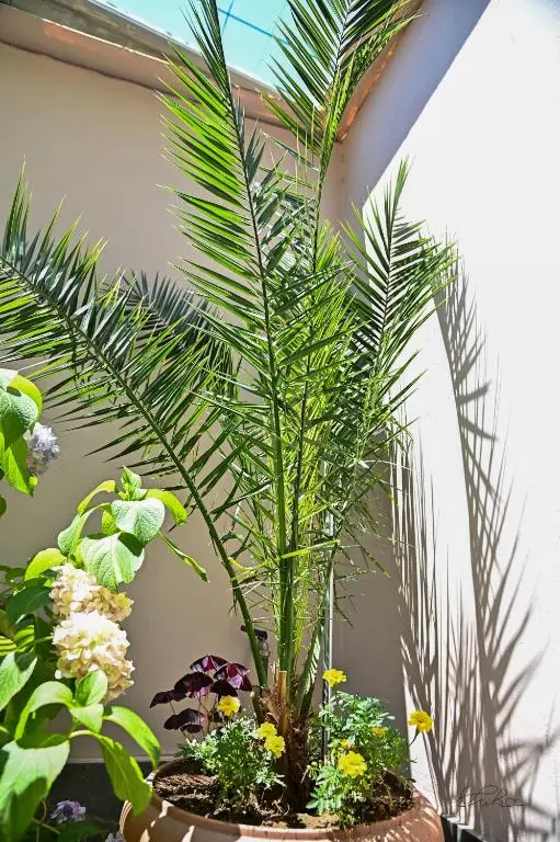 img_id_1021426.webp