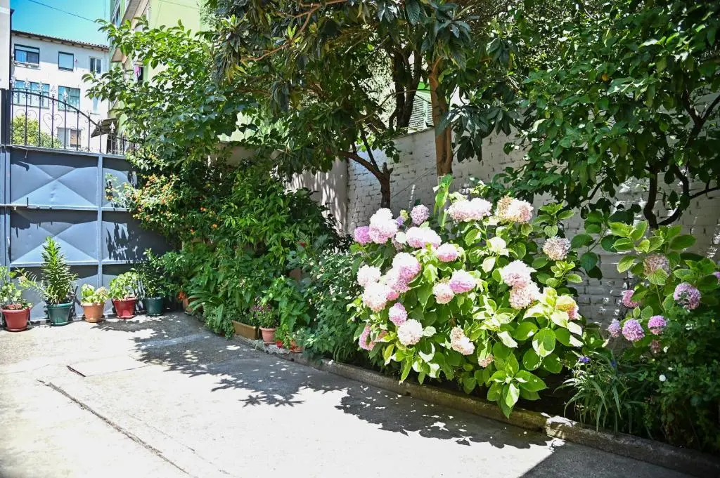 img_id_1021427.webp