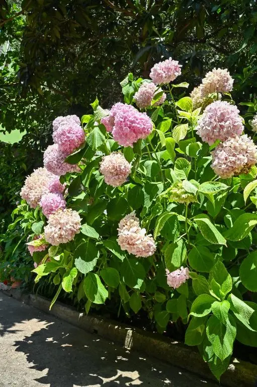 img_id_1021428.webp