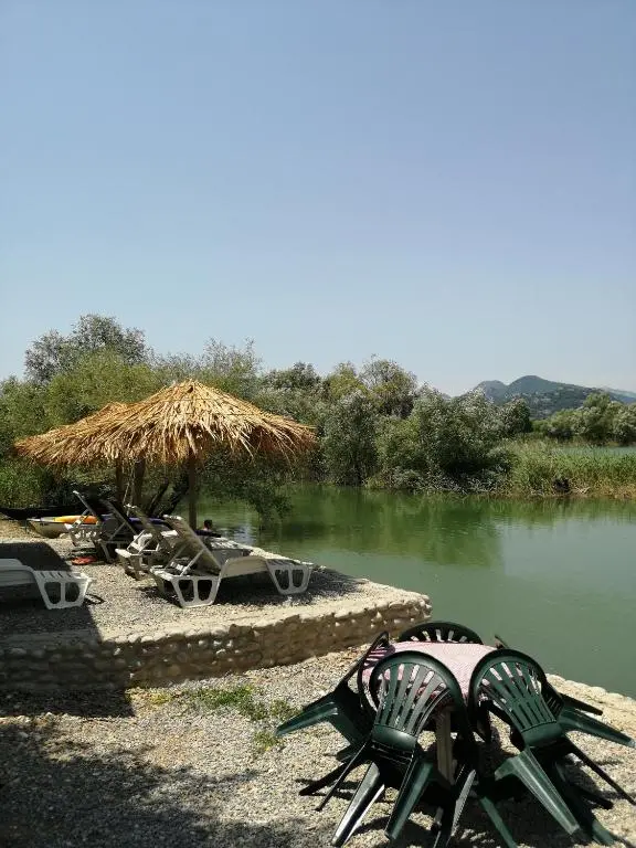 img_id_2277803.webp
