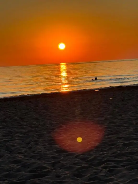 img_id_1021629.webp