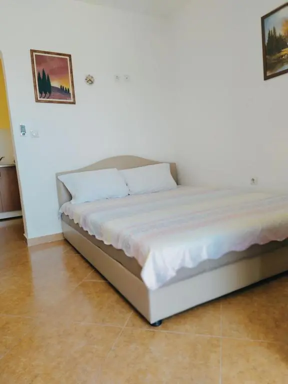 img_id_2277058.webp
