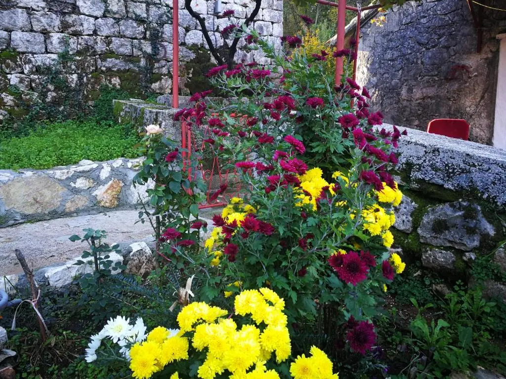 img_id_2277002.webp