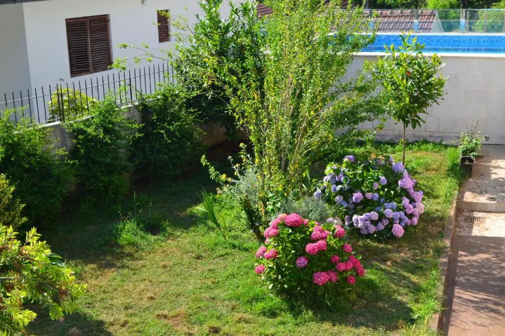 img_id_2276937.webp