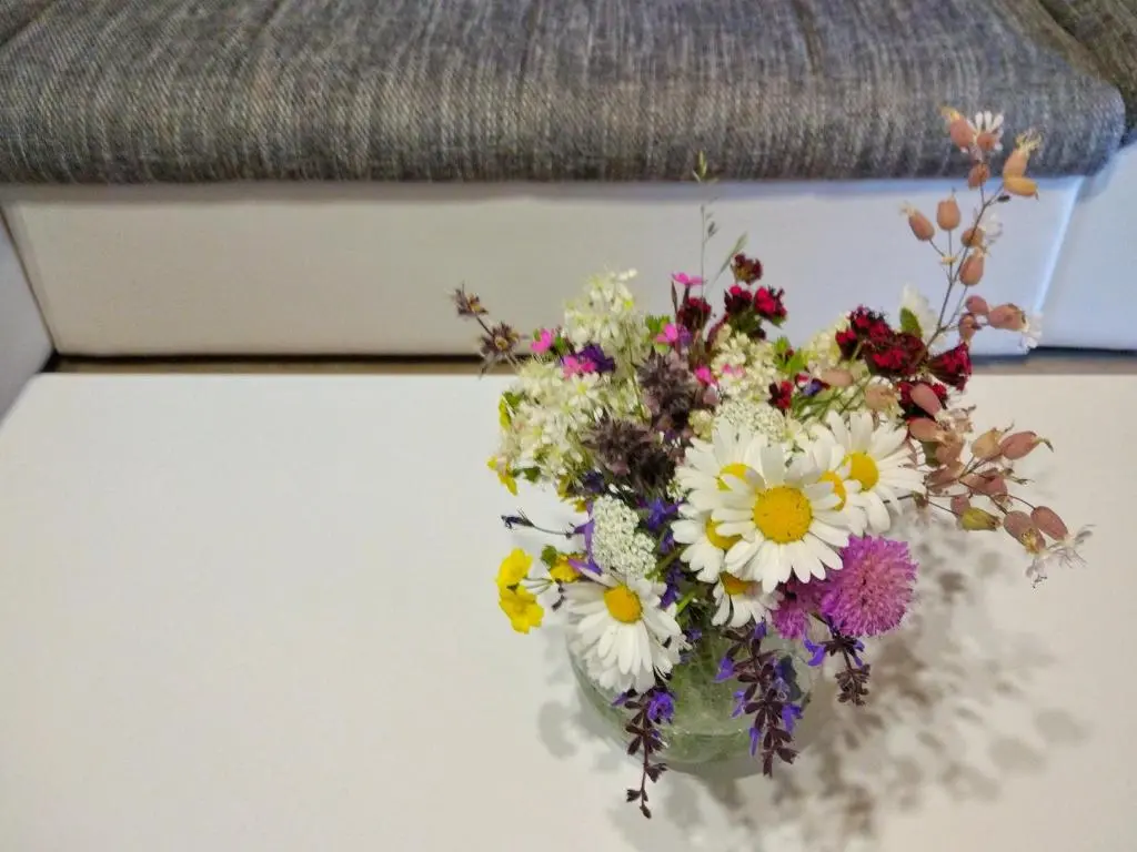 img_id_2276562.webp