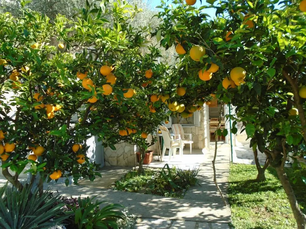 img_id_2275474.webp