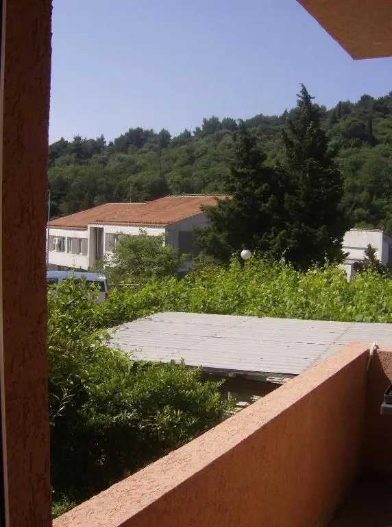 img_id_2270270.webp
