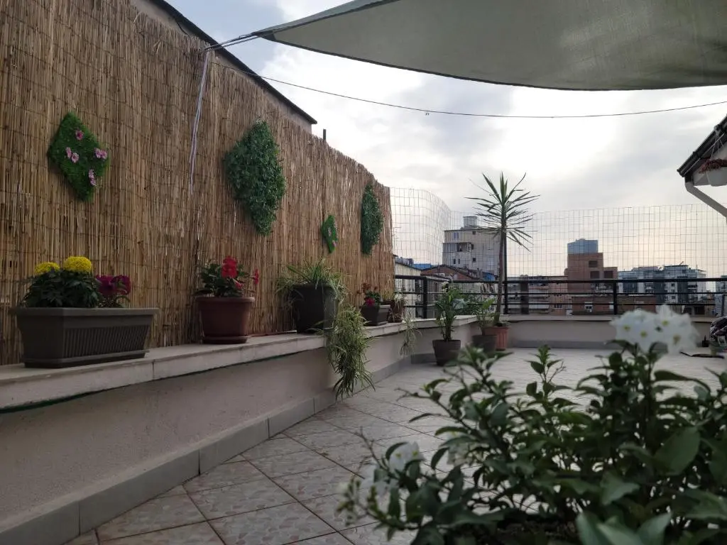 img_id_850747.webp