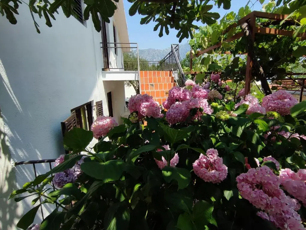 img_id_2269066.webp