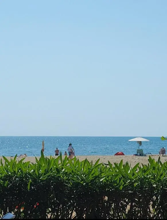img_id_920394.webp