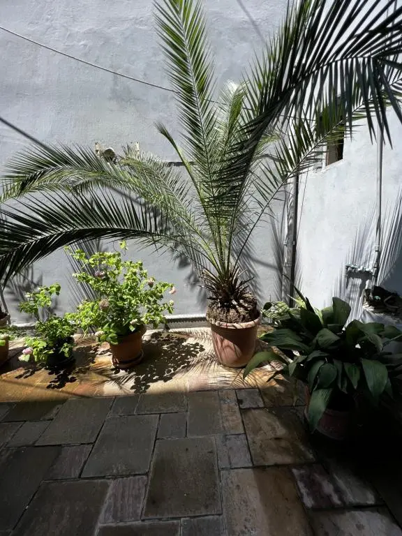 img_id_848384.webp