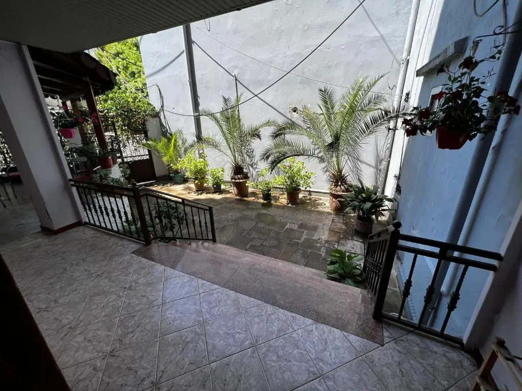 img_id_848404.webp