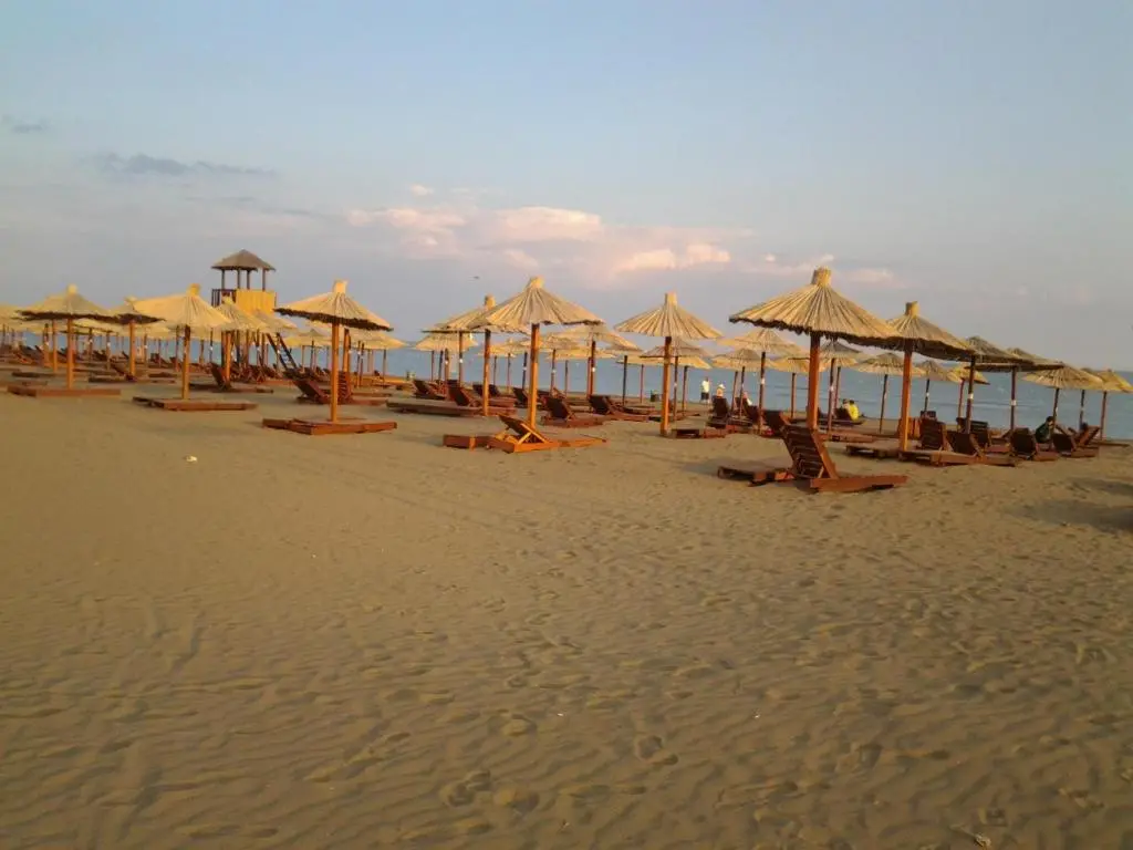 img_id_2268186.webp
