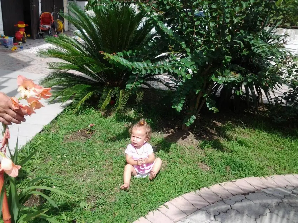 img_id_2268187.webp
