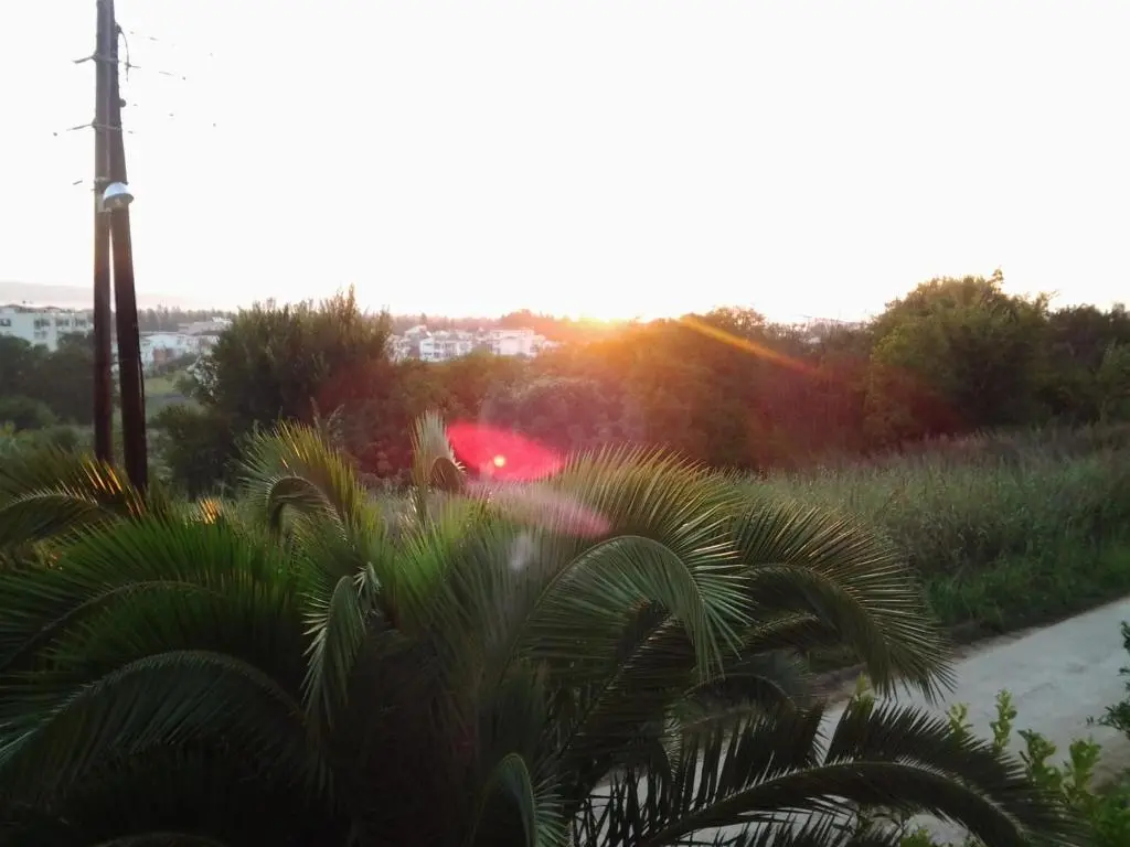 img_id_2268190.webp