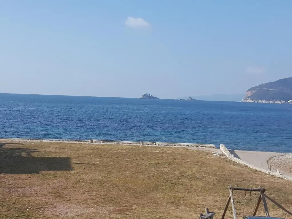 img_id_2267019.webp
