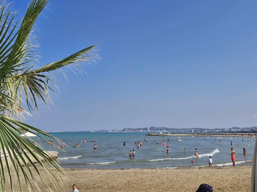 img_id_844035.webp