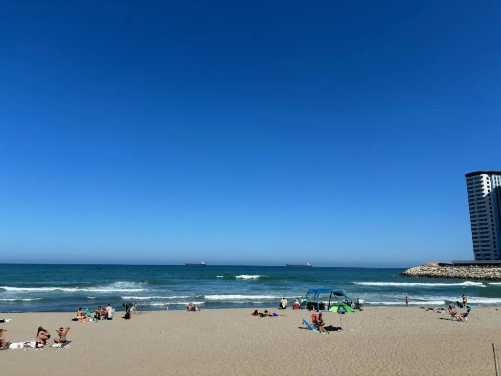 img_id_1524209.webp
