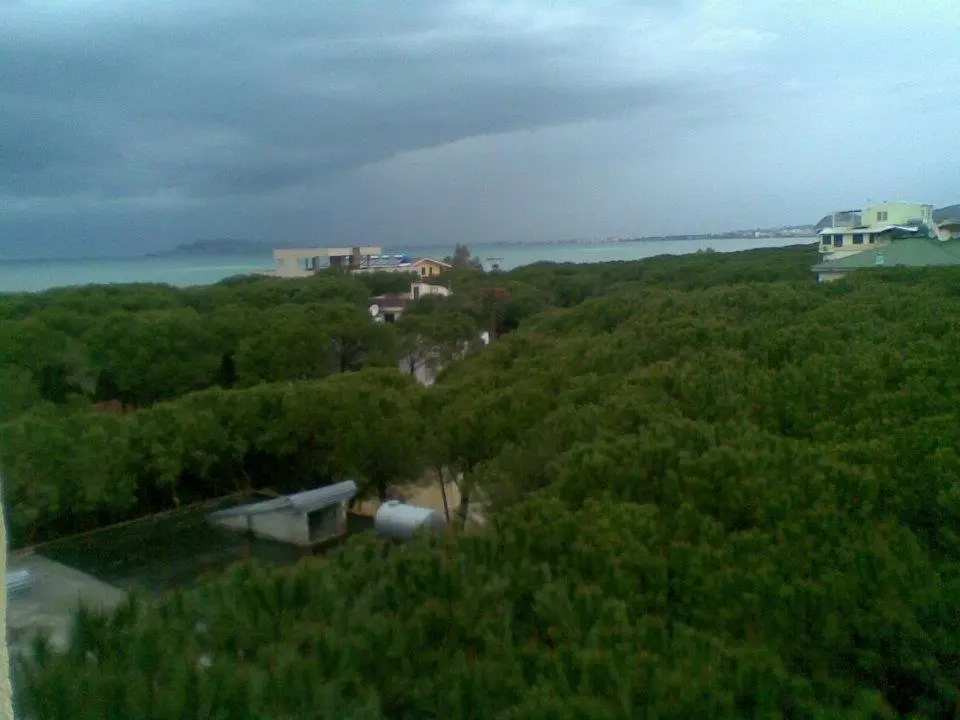 img_id_915918.webp