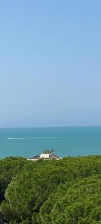 img_id_915919.webp
