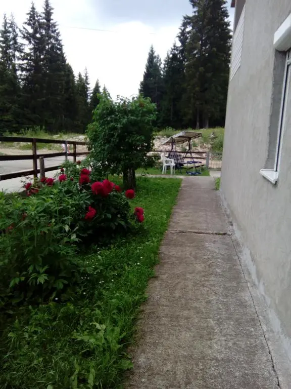 img_id_2262583.webp