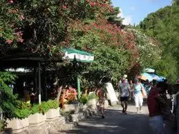 img_id_2261473.webp