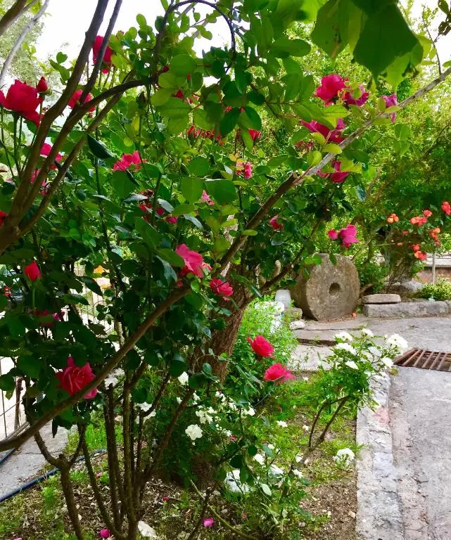 img_id_2260617.webp