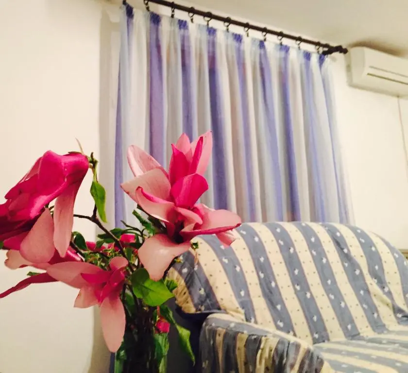 img_id_2260633.webp