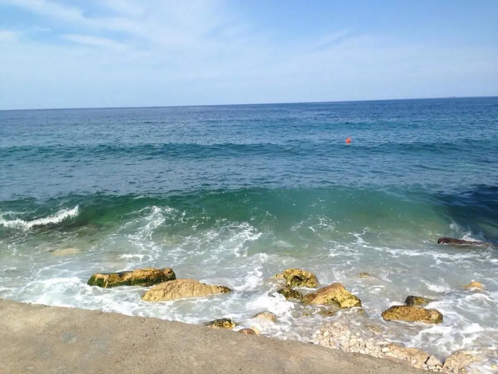 img_id_2258417.webp