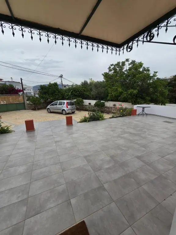 img_id_918134.webp