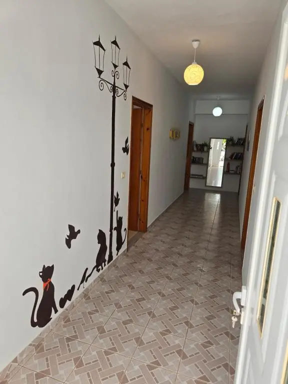 img_id_918136.webp