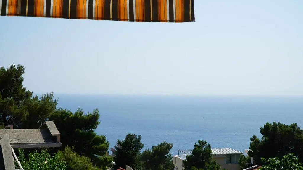img_id_2256639.webp