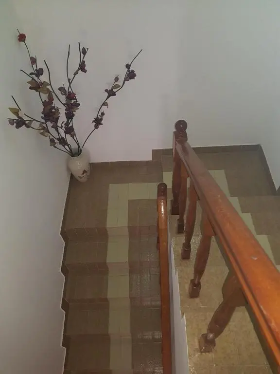 img_id_2256488.webp