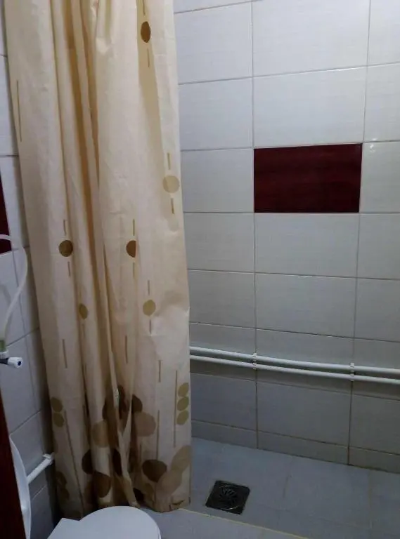 img_id_2255447.webp