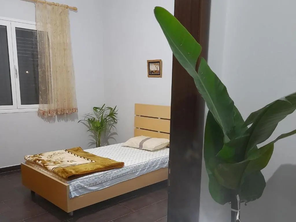 img_id_1004828.webp