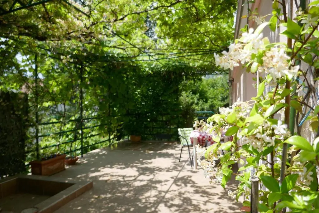 img_id_2253511.webp